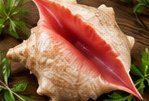 Lambí