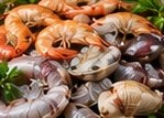 Mariscos surtidos